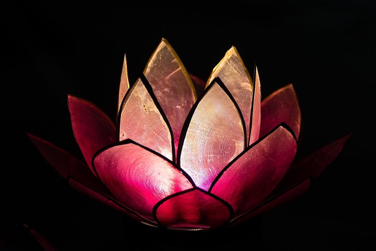 Pink Lotus Apartment Viena Exterior foto